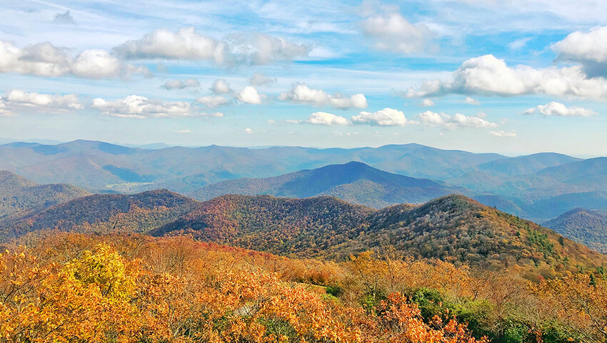 Chattahoochee-Oconee National Forests